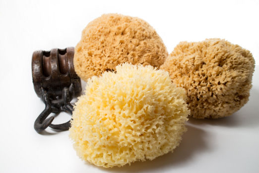 BA - Exposure and decoration sponge - extra choice