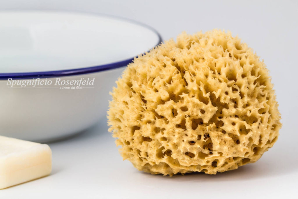 Natural Sponges: uses